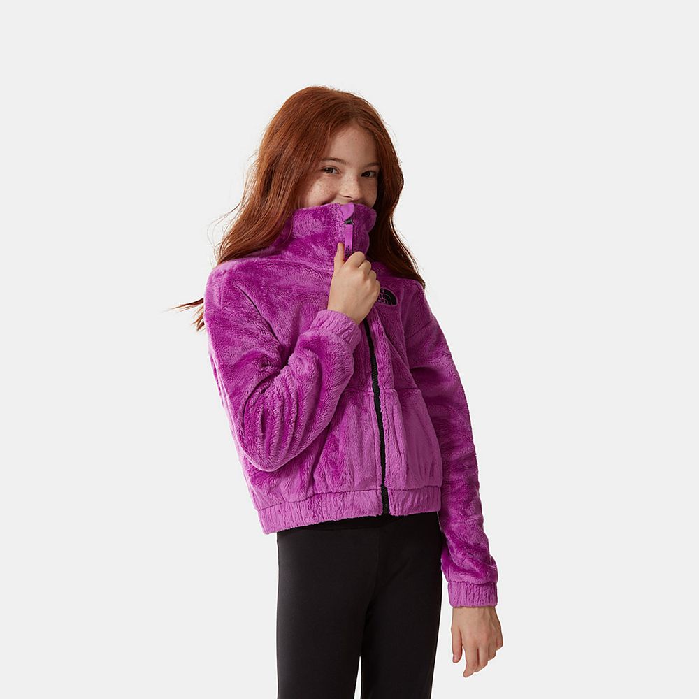 The North Face Fleeces Girls Australia - The North Face Osolita Full-Zip Purple (QLA-840732)